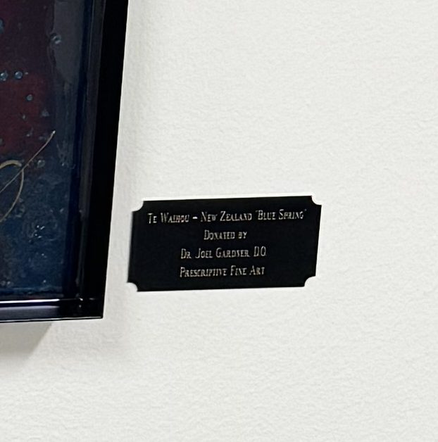 Donor plaque